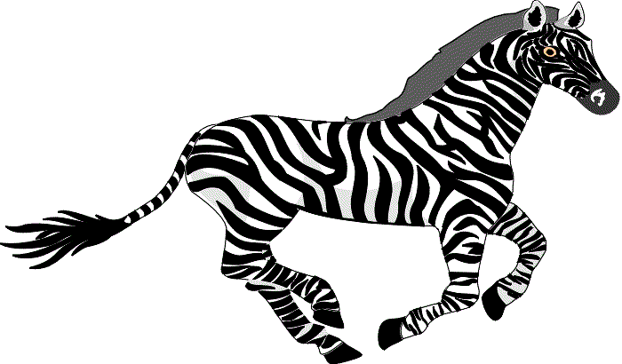 Image of a nice black and white animal